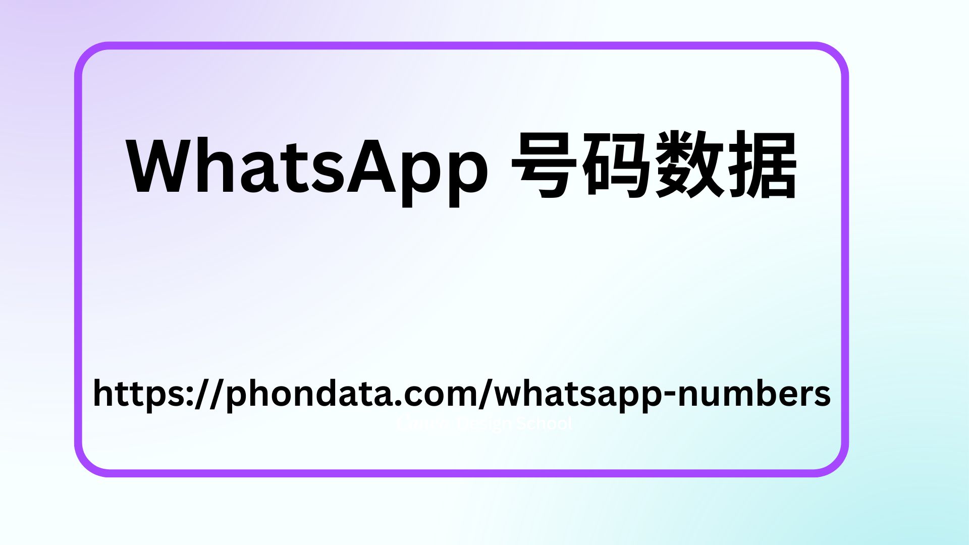 WhatsApp 号码数据